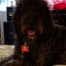 Stacey Coe - Facebook