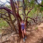 Stacey Connelly - @sec_conn - Instagram
