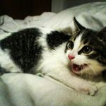 Stacey Conner - @stacey.conner.311 - Instagram
