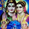 ROHIT_KUMAR_KANNAUJI - @stacey.counts430 - TikTok