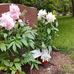 Stacey Coutts - Facebook