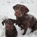 Stacey Coy Kratz - Facebook