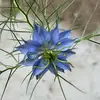 Stacey Coyne - @stacey.coyne - TikTok