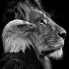 Stacey Mccoy - @stacey.mccoy7 - TikTok