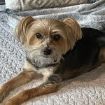 Stacey crain - @staceycrain68 - Instagram