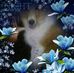 Stacey Crowder - Facebook