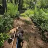 staceyrdailey - @staceyrdailey - TikTok
