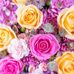 Stacey Darby - Facebook