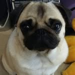 Stacey Darby - @insta_ceyd - Instagram