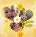 Stacey Davies - Facebook