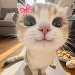 Stacey Tan - Facebook