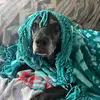 Stacey_does - @stacey_does - TikTok