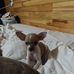 Stacy Dockery - Facebook