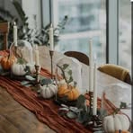Stacey Albuck-Dorr - Facebook