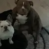 Staceydowney3 - @staceydowney3 - TikTok