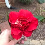 @stacy_stovall_eckard - Instagram