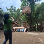 Stacy Alex Edris - Facebook