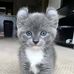 Stacey Enderle - Facebook