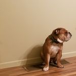 Stacy Endsley - @staysea2021 - Instagram