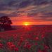 Stacey Estes - Facebook