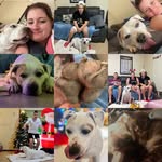 Stacey Farmer - @staceyfarmer12 - Instagram