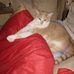 Stacey W. Fields - Facebook