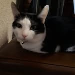 Stacey Fishman - @aaronstaceyfishman - Instagram