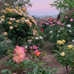 Stacy Fishman - @sacredspacehealings - Instagram