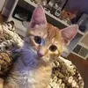 staceyfleck0 - @staceyfleck0 - TikTok