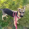 Stacey Floyd - @floyd7997 - TikTok