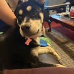 Stacey Michelle Frame - @sframe50 - Instagram