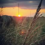 Stacy Frame - @qafarms - Instagram