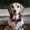 staceyfrazier - @staceyfrazier - TikTok