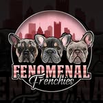 Stacey Geisel - @fenomenalfrenchies - Instagram