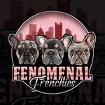 Stacey R Geisel - @fenomenal_frenchies - Instagram