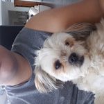 Stacey Gibb - @stacey.gibb1998 - Instagram