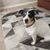 Stacey Gilbertson - Facebook