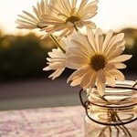 Stacey Ward Goddard - @slgoddard07 - Instagram
