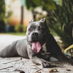 Stacey Goins - @staceygoins2924 - Instagram
