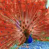 Stacy Goins - @stacy.goins - TikTok