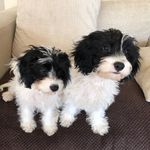 Stacey Goode - @stacey.goode11 - Instagram