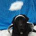 Stacey Grady - Facebook
