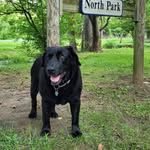 Stacey Grady - @all50states1972 - Instagram