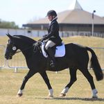 Stacey Greaves - @memydogandmycob - Instagram