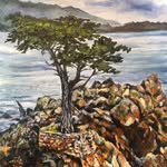 Stacey Gregory - @visionsofmontereycounty - Instagram