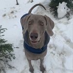 Stacey Hahn Collins - @staceylcollins - Instagram