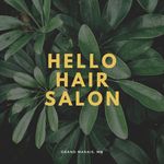Stacey Hammer - @hellohairstacey - Instagram