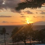 Stacey Haney - @haney1076 - Instagram