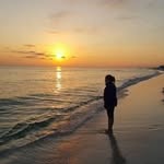 Stacey Hanson Farlow - @hansonfarlow - Instagram