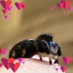 Staceybitsy Hiorns-harding - Facebook